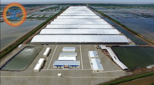 Dự án Điện mặt trời áp mái trang trại nuôi tôm CNC tại TP Bạc Liêu